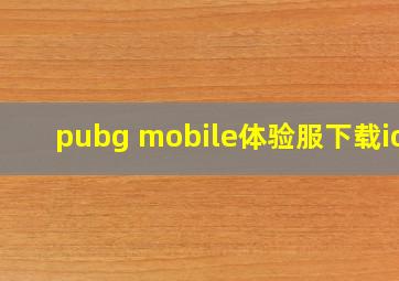 pubg mobile体验服下载ios